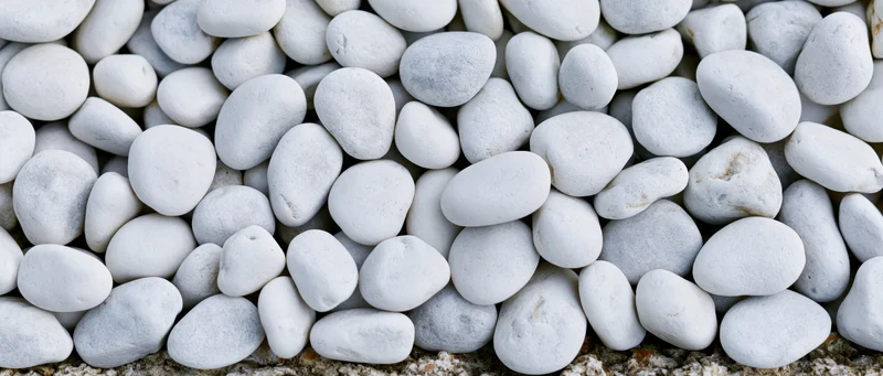 Close-up overhead view of smooth white pebbles densely arranged on a ground surface