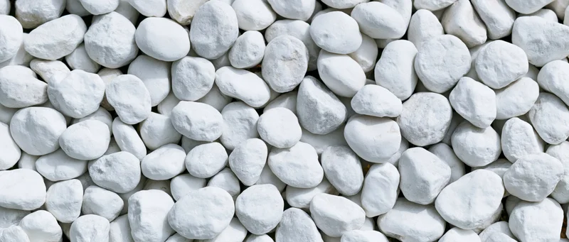 Closeup overhead view of smooth white pebbles densely spread as groundcover