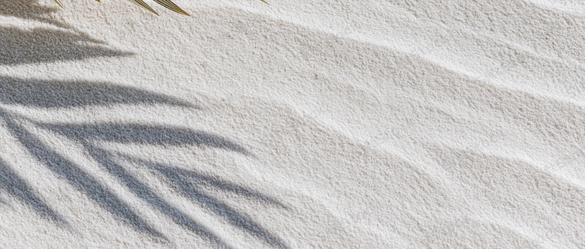 Close-up top-down view of fine white beach sand with palm leaf shadows and gentle ripples
