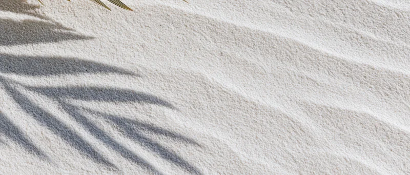 Close-up top-down view of fine white beach sand with palm leaf shadows and gentle ripples