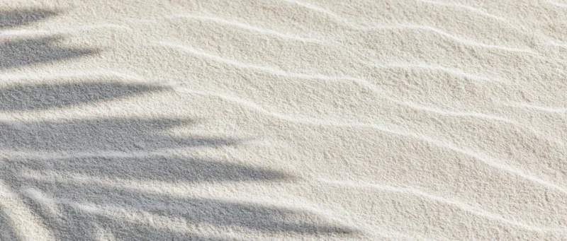 Close-up top-down view of fine white beach sand with gentle ripples and palm frond shadows