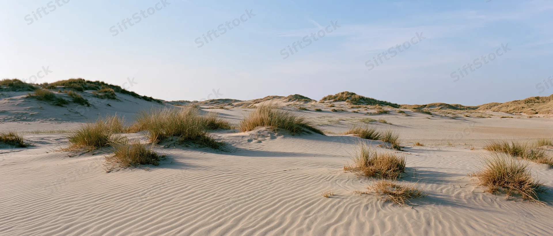 Coastal sand dunes with scattered marram grass under clear blue sky