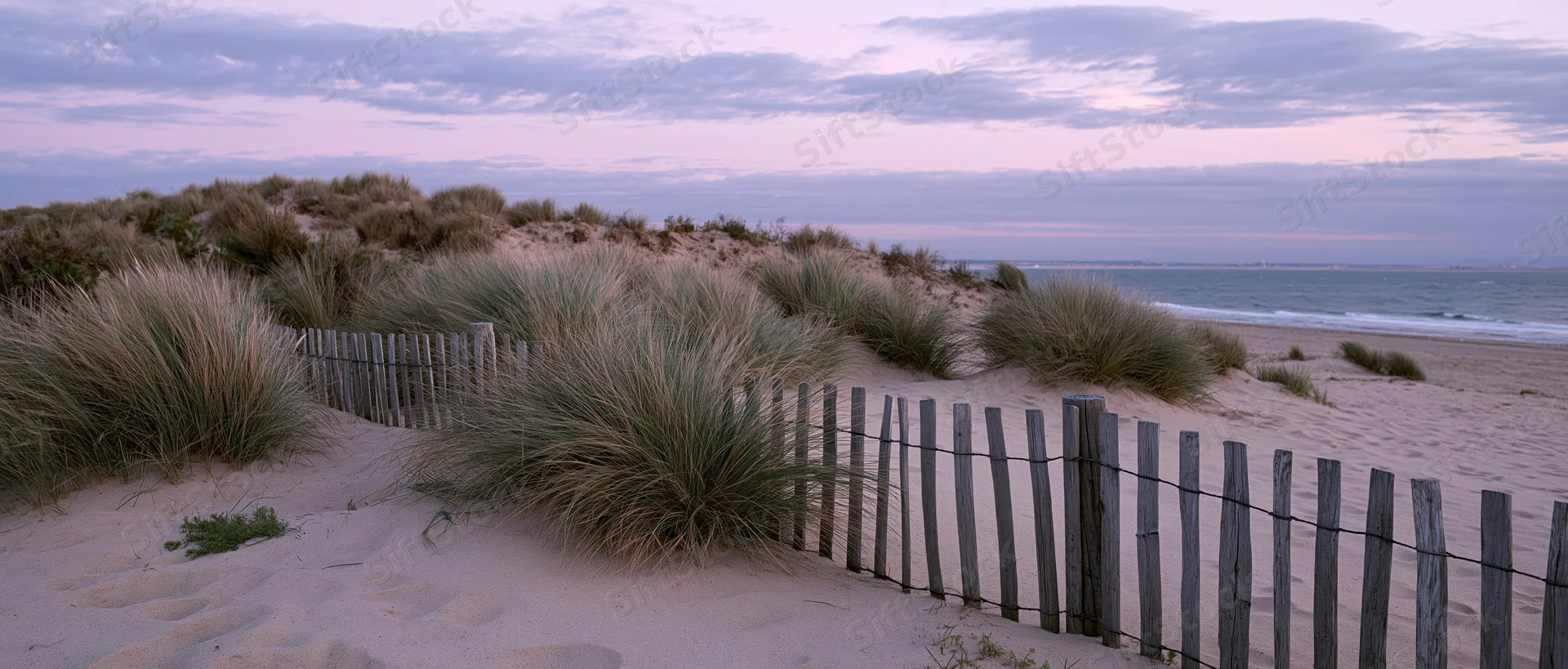 Coastal sand dunes with marram grass and a low weathered wooden fence along the beach at twilight