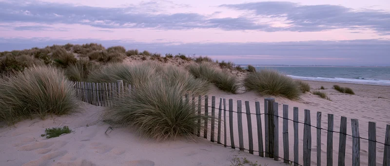 Coastal sand dunes with marram grass and a low weathered wooden fence along the beach at twilight