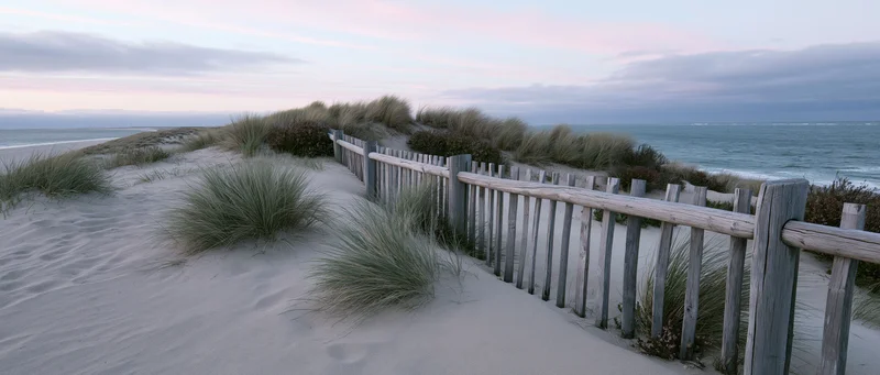 Wooden fence winding through sand dunes with marram grass near the ocean at dusk