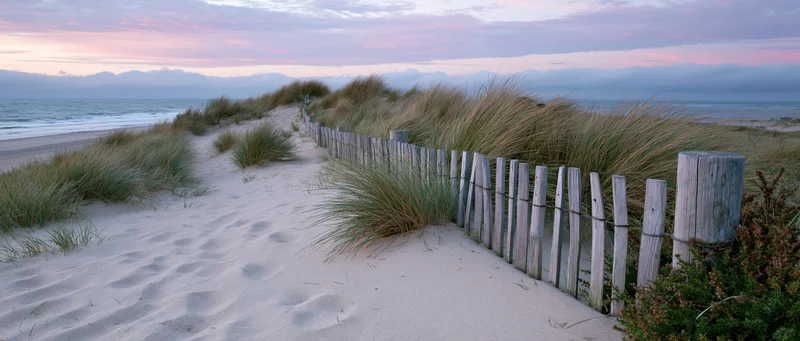 Sandy path winding through dunes with marram grass and wooden fence leading to ocean at twilight