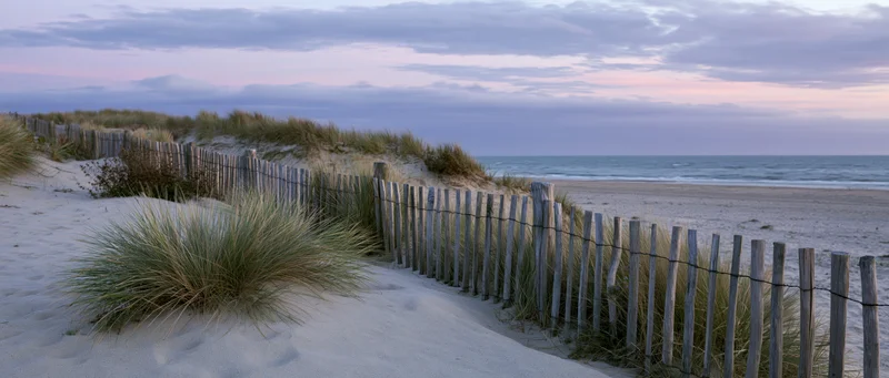 Weathered wooden fence winding through sand dunes with marram grass near the ocean at dusk