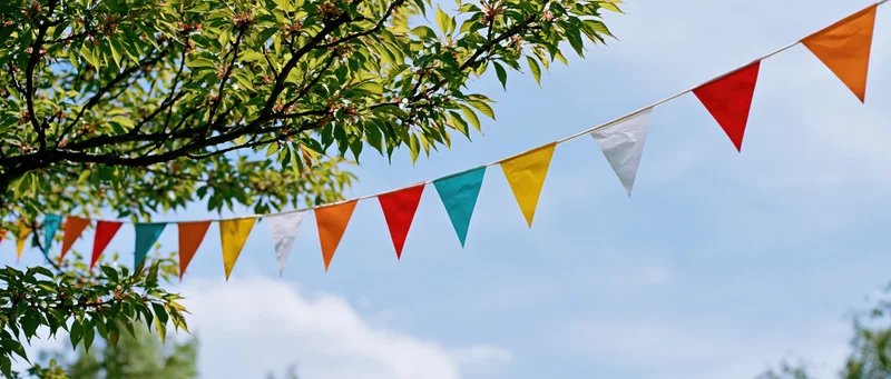 Colorful triangular paper bunting flags strung on a line against a blue sky with tree branches and green leaves