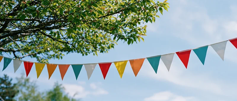 Colorful triangular paper bunting flags strung across a garden under a tree on a sunny day