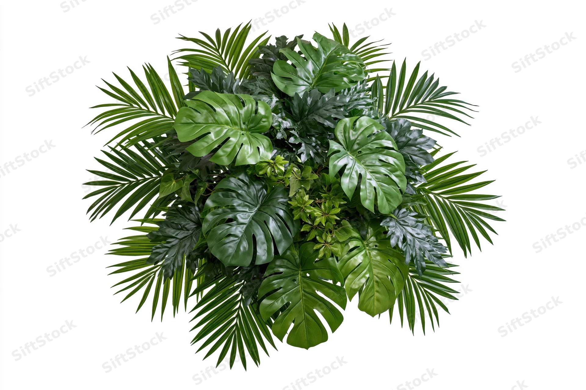 Dense cluster of tropical foliage arrangement floating against white background