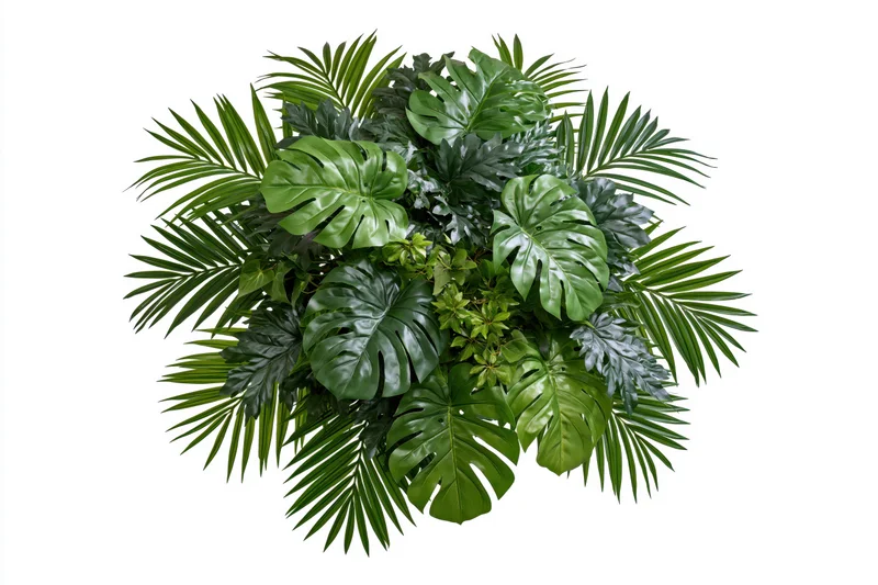 Dense cluster of tropical foliage arrangement floating against white background