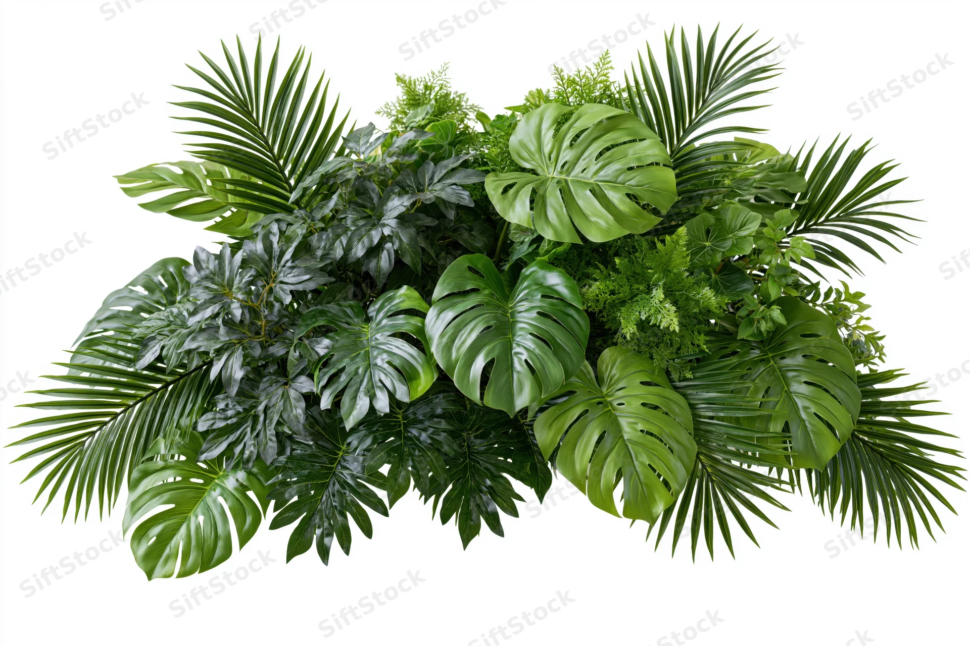Dense cluster of tropical foliage arrangement floating against white background
