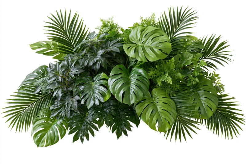 Dense cluster of tropical foliage arrangement floating against white background