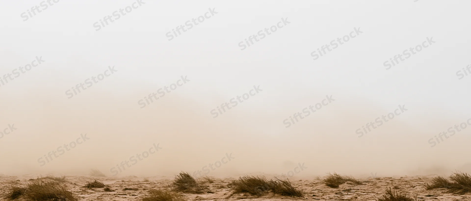 Dense dust cloud billowing low across dry desert floor with sparse scrub vegetation
