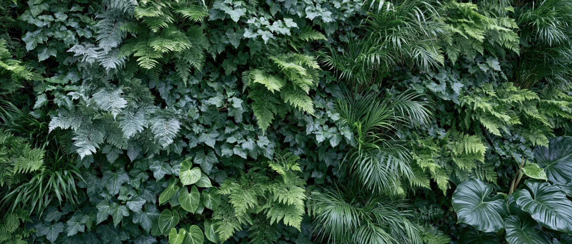 Dense living green wall covered in mixed tropical foliage and ferns