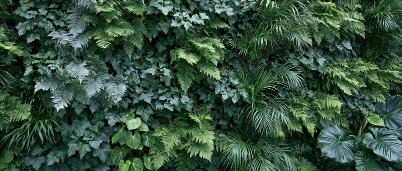 Dense living green wall covered in mixed tropical foliage and ferns