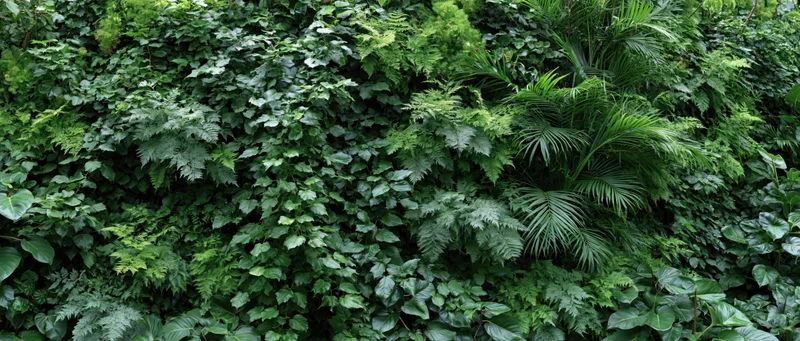 Dense green living wall covered in mixed tropical foliage and ferns