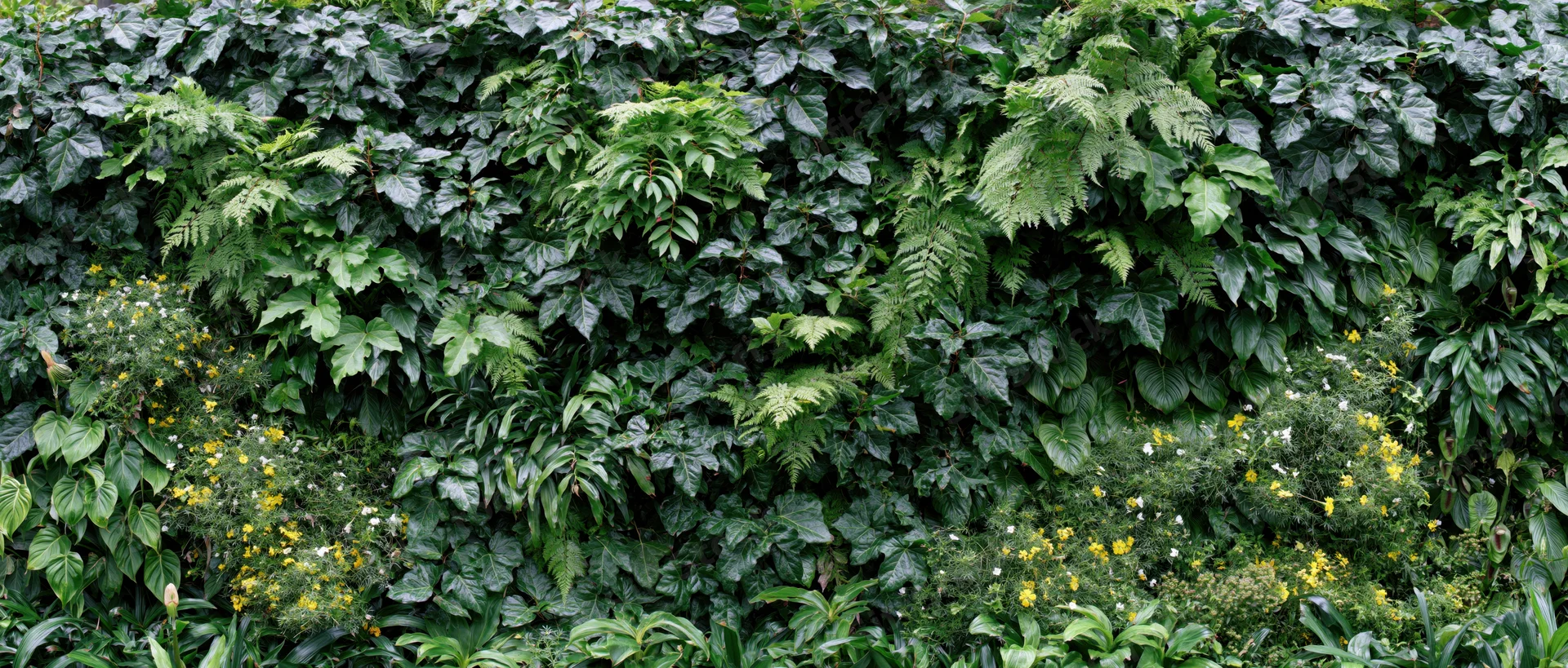 Dense green plant wall covered in layered tropical foliage and small flowers