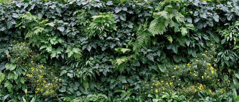 Dense green plant wall covered in layered tropical foliage and small flowers