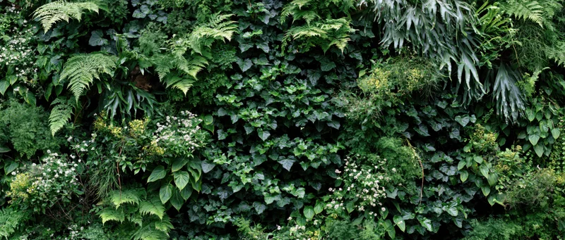 Dense vertical garden covered in layered tropical foliage and greenery