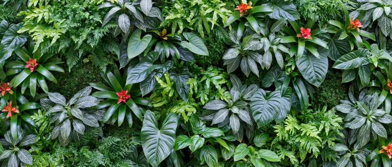Dense vertical living plant wall covered in layered tropical foliage and flowering plants