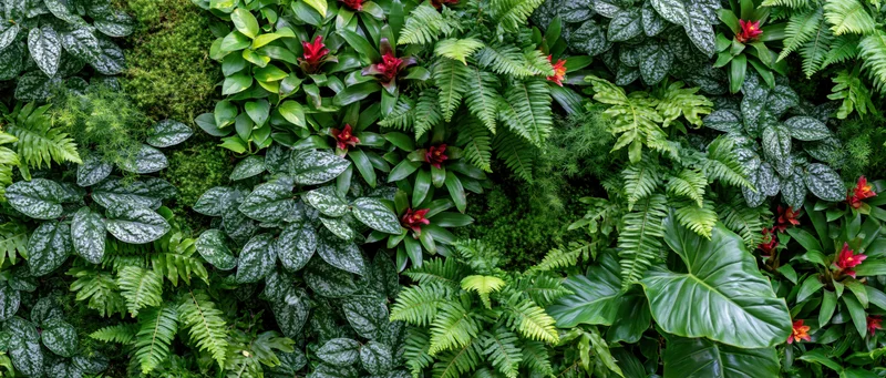 Dense vertical living plant wall covered in layered tropical foliage and greenery