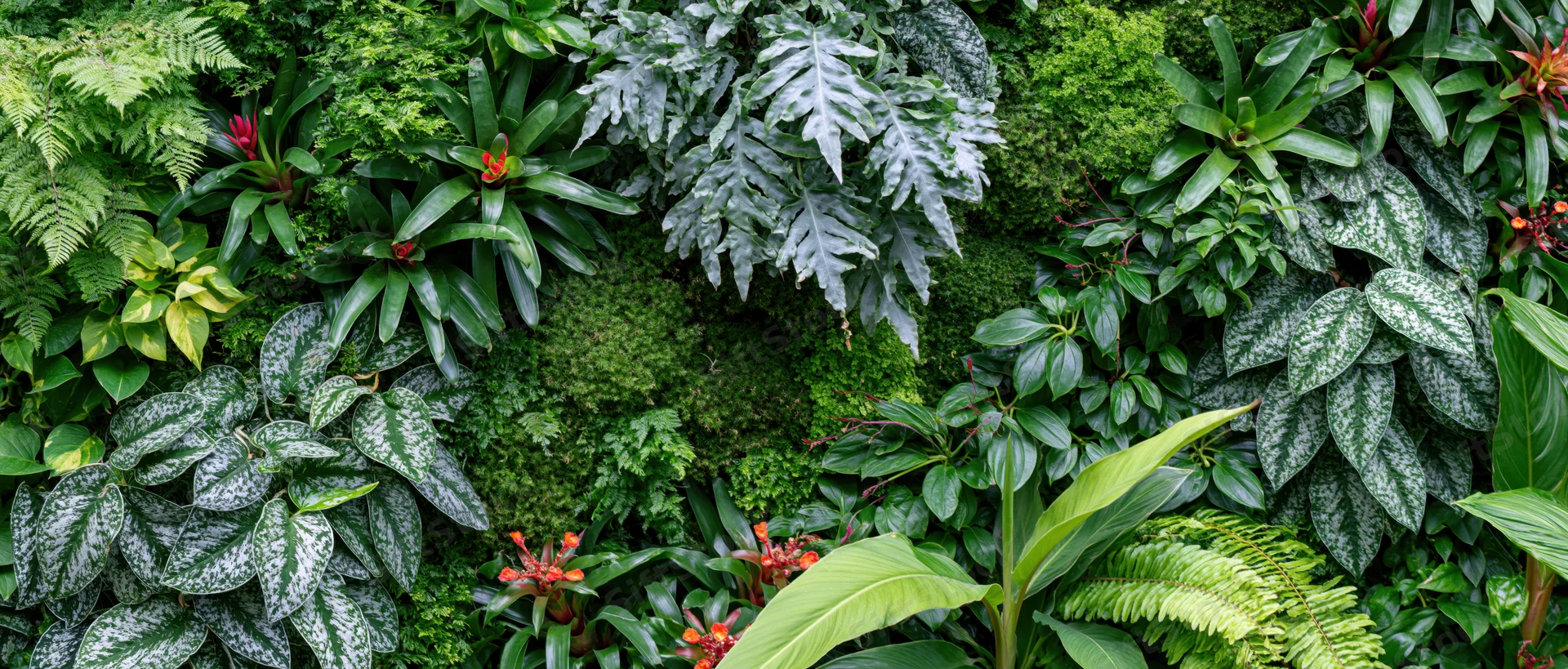 Dense vertical living plant wall covered in layered tropical foliage and moss