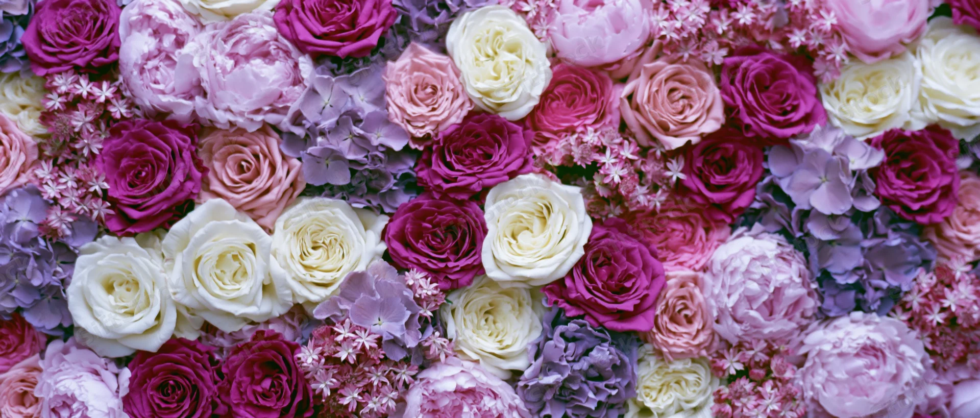 Dense floral wall of roses, peonies and hydrangeas in pink, purple and white hues