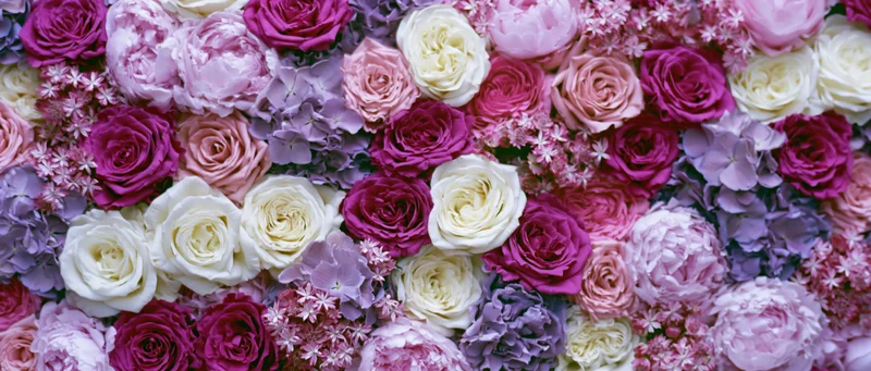 Dense floral wall of roses, peonies and hydrangeas in pink, purple and white hues