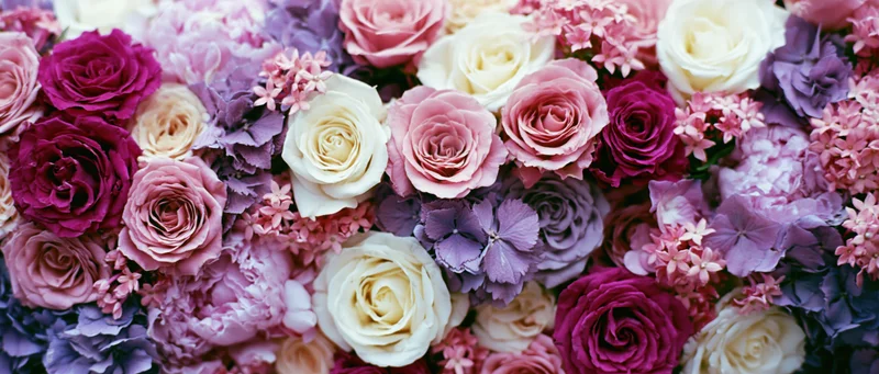 Dense wall of mixed cut flowers packed tightly together featuring roses and hydrangeas in shades of pink, purple, and white