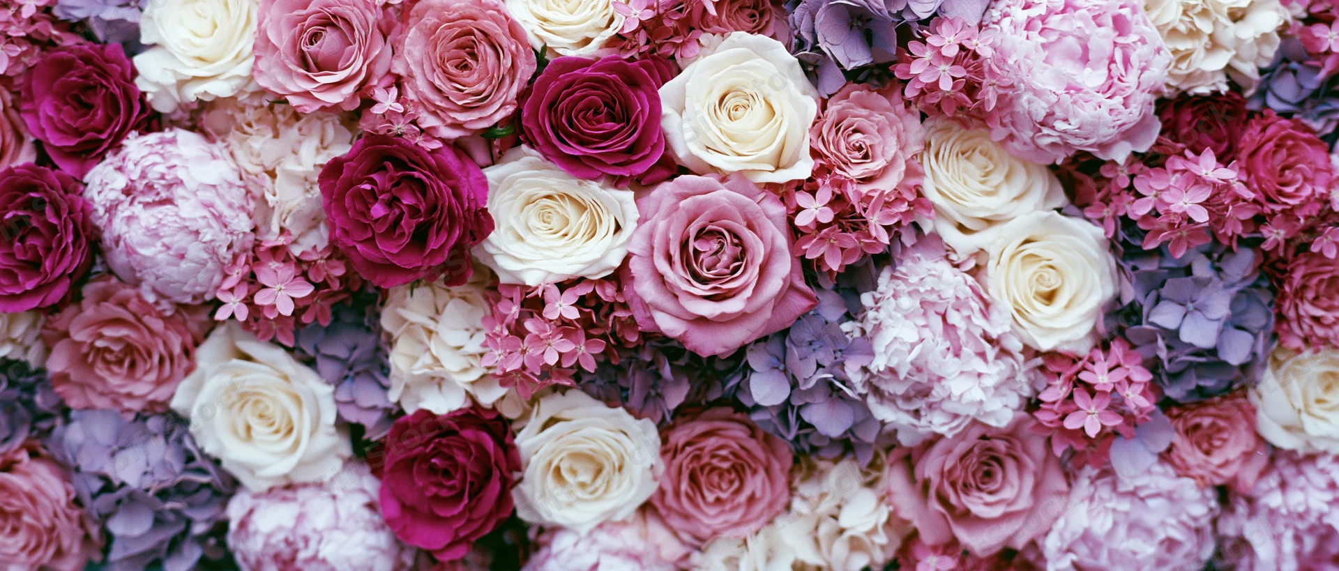 Dense floral wall of roses and hydrangeas in pink, purple and white hues