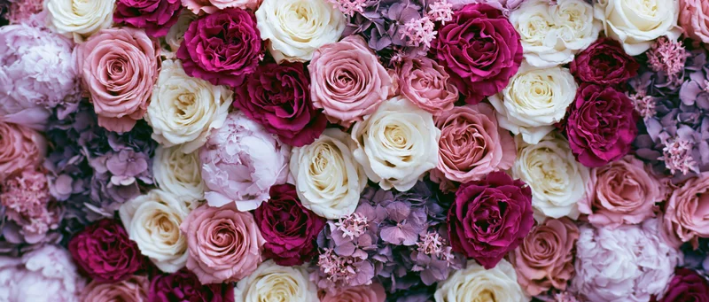 Dense floral wall of roses, peonies and hydrangeas in pink, white and purple hues