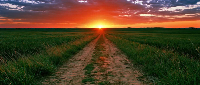 Dirt road cutting through green crop fields toward sunset horizon