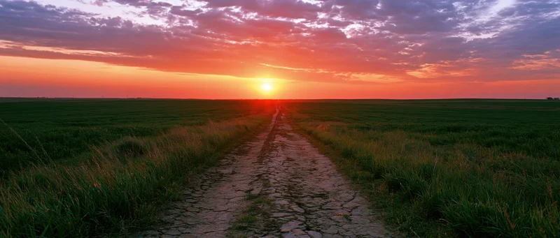 Dirt path cutting through flat green fields at sunset