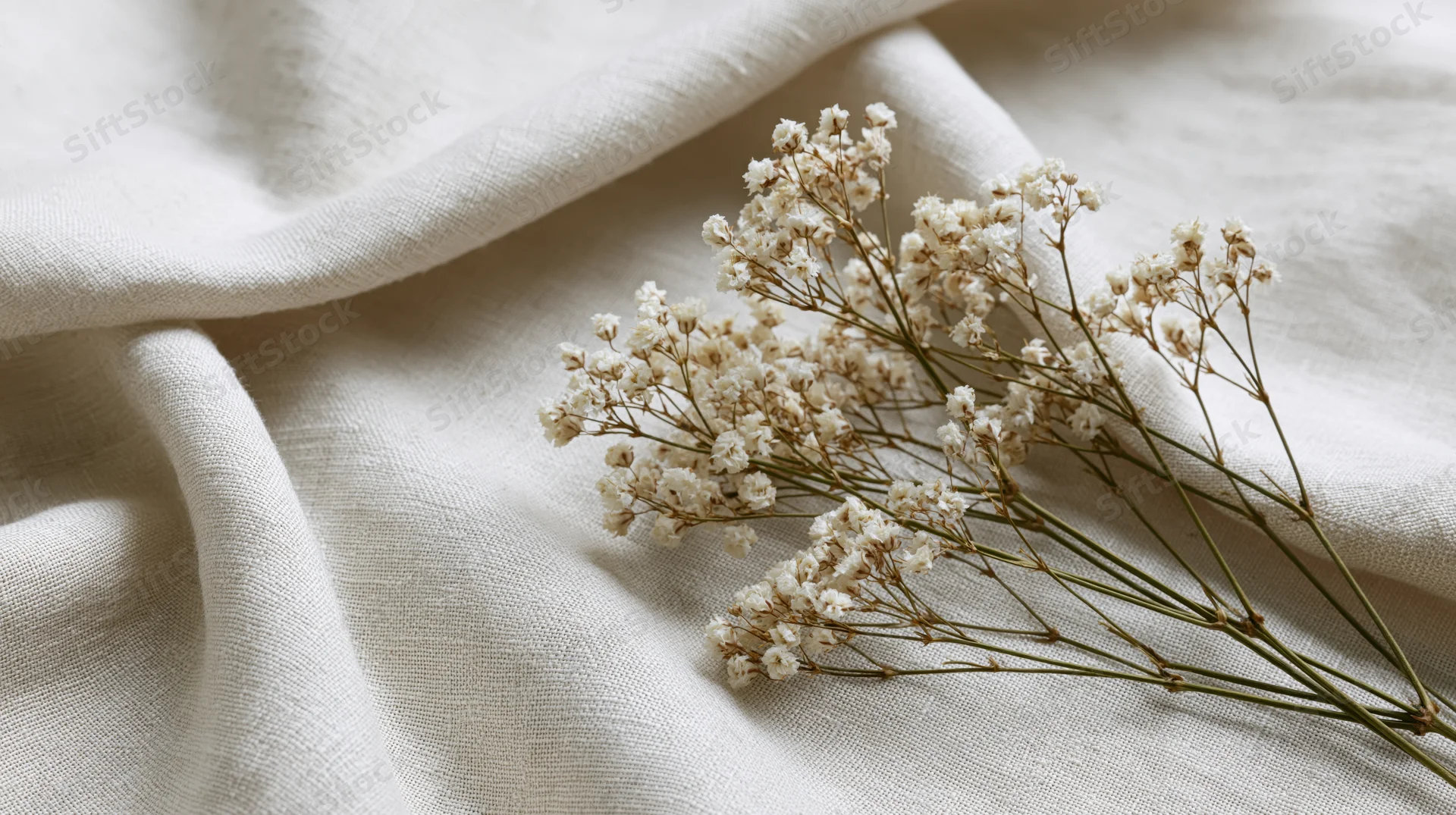 Dried babysbreath sprigs resting on softly draped linen fabric