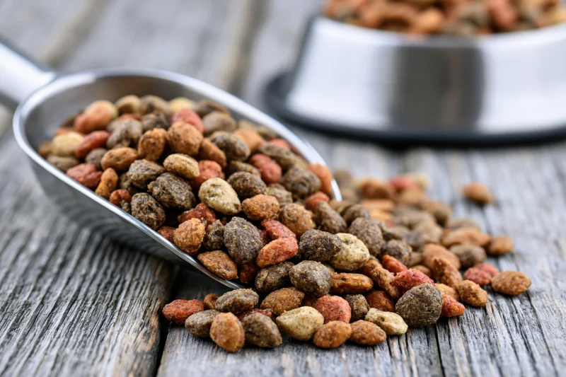Dry pet food kibble spilling from a stainless steel scoop onto a wooden surface near a metal bowl