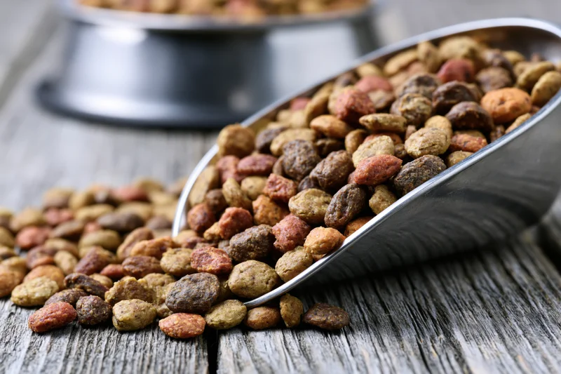 Dry pet food kibble spilling from a stainless steel scoop onto a wooden table