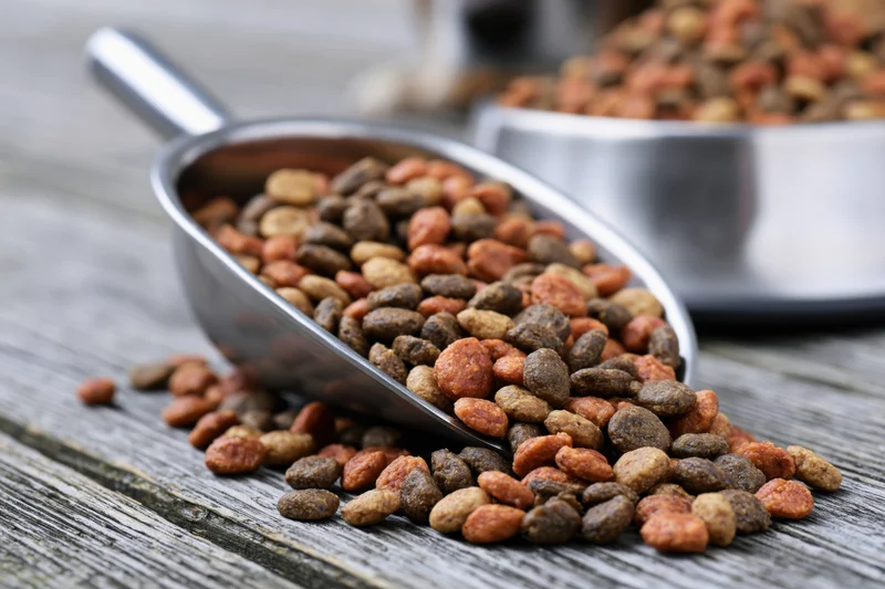 Dry pet food kibble spilling from a stainless steel scoop onto a wooden surface