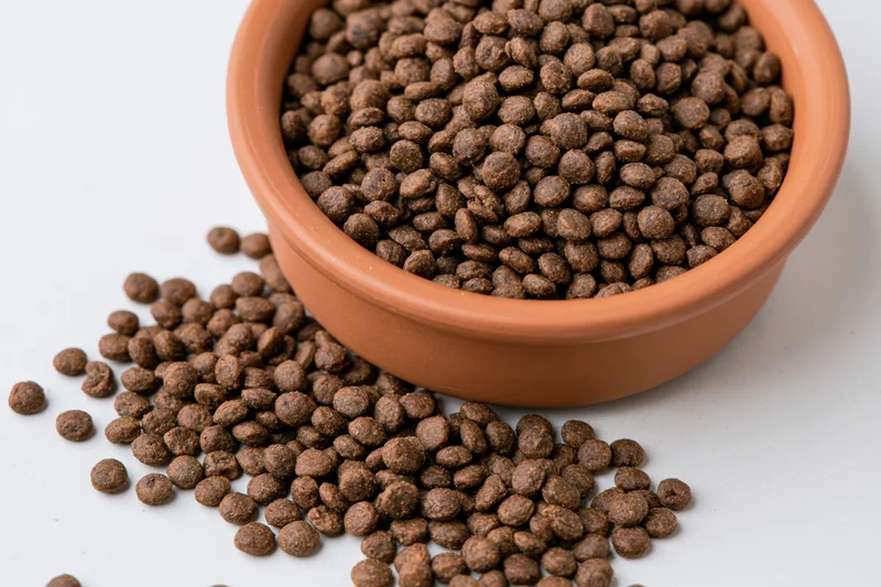 Dry pet food kibble spilling from a terracotta bowl onto a white surface