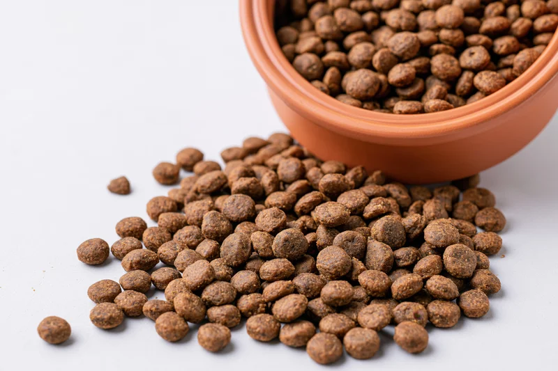 Dry pet food kibble spilling from a terracotta bowl onto a white surface