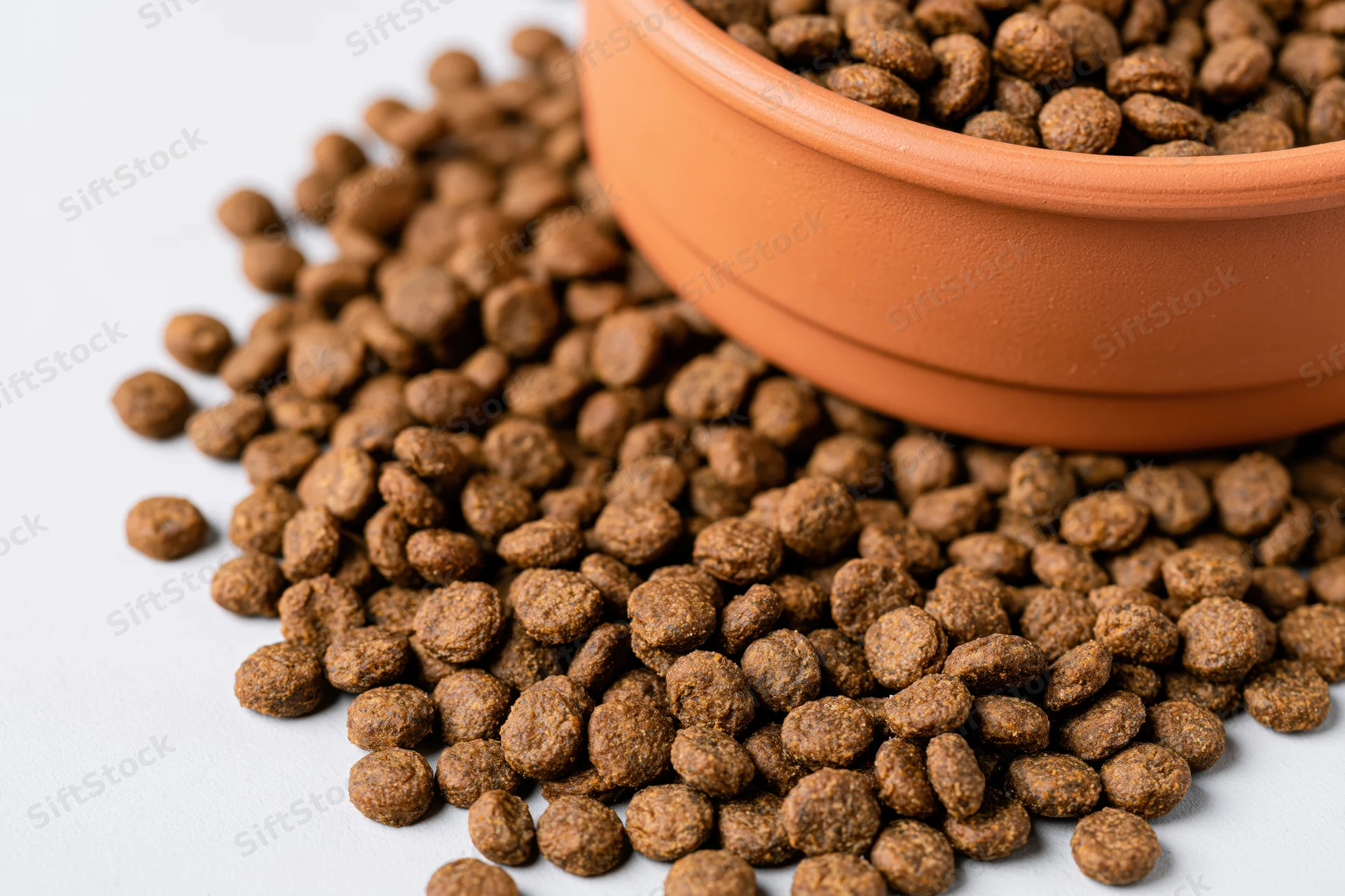 Dry pet food kibble spilling from a terracotta bowl onto a white surface