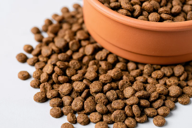 Dry pet food kibble spilling from a terracotta bowl onto a white surface