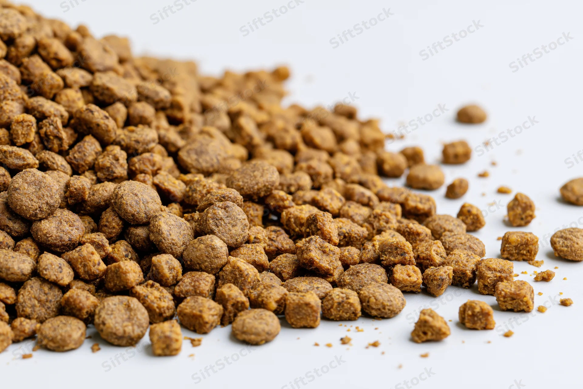Dry pet kibble pieces piled and scattered on white background