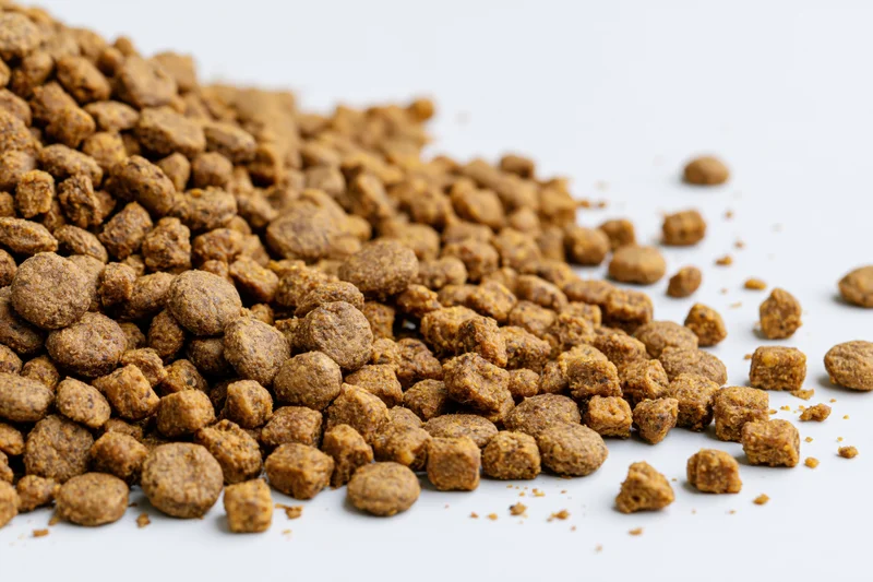 Dry pet kibble pieces piled and scattered on white background