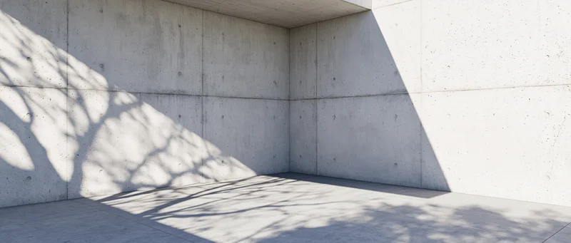 Empty minimalist concrete room interior with tree shadows on walls and floor
