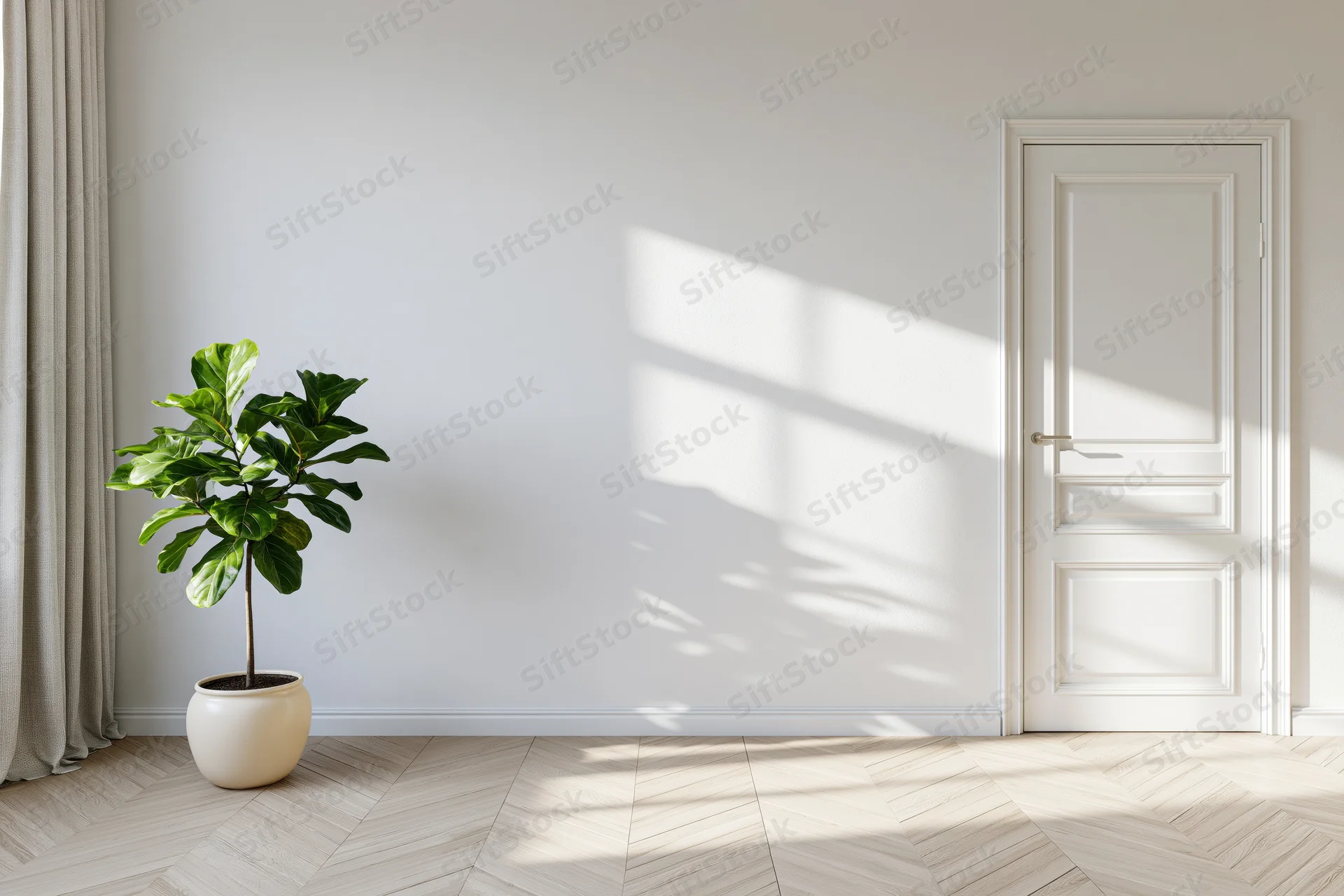 Minimalist empty room with potted fiddle-leaf fig near white door and window light