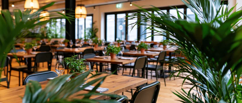 Empty modern restaurant dining room with wooden tables and potted plants before service