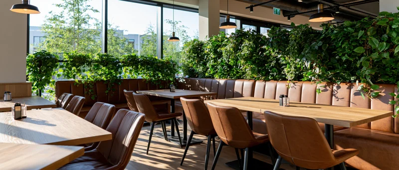 Empty modern restaurant dining area with wooden tables and leather chairs arranged along a green plant wall during daytime