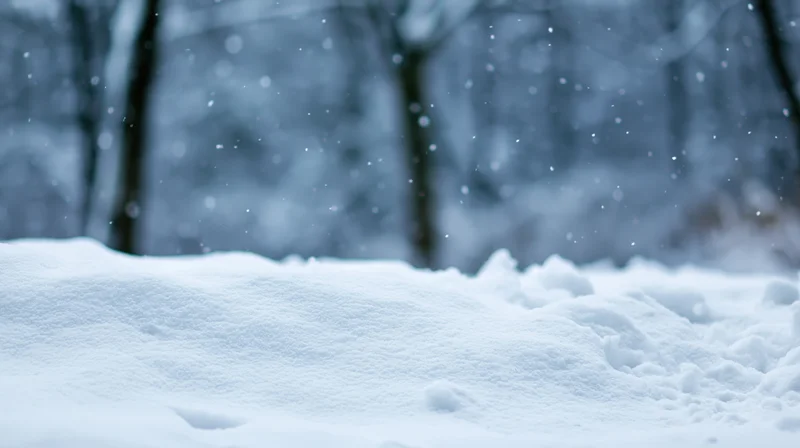 Snow-covered ground with falling snowflakes in a forest setting