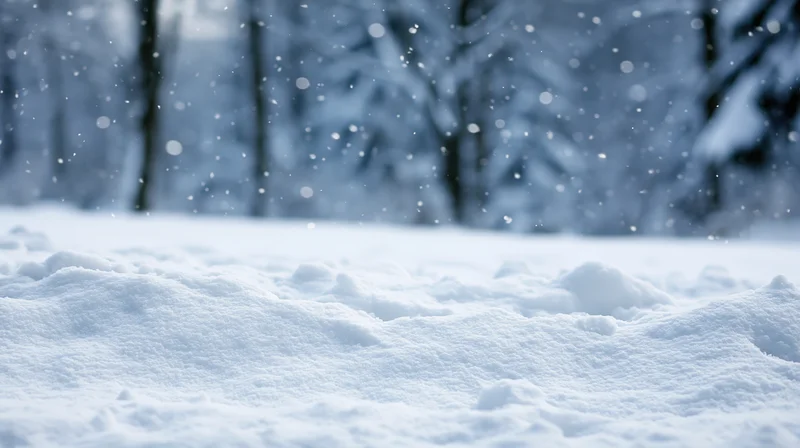 Snow-covered ground with falling snowflakes in a forest setting